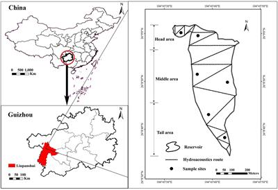 Hydroacoustic survey on fish spatial distribution in the early impoundment stage of Yuwanghe Reservoir in southwest China